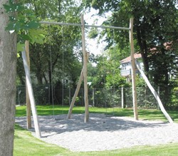 Reuzenschommel, robinia