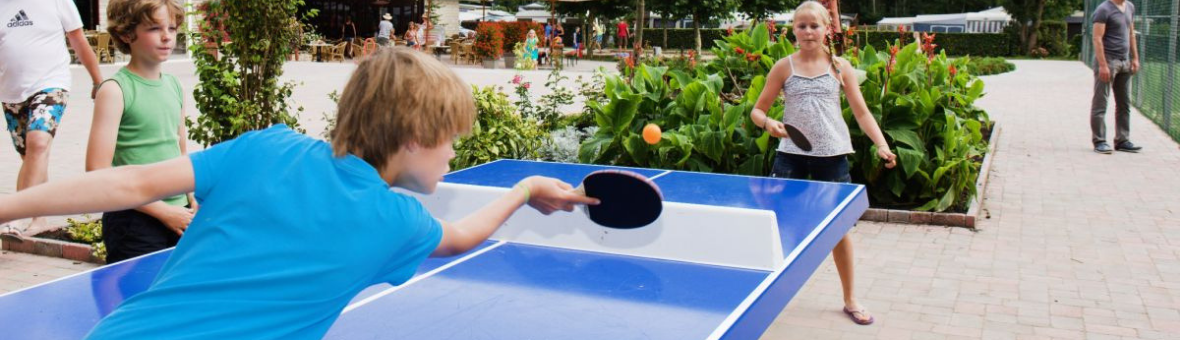 buitenspelen - groep 819 tafeltennistafels